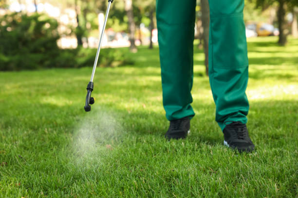 Best Mosquito Control Services  in Moravian Falls, NC