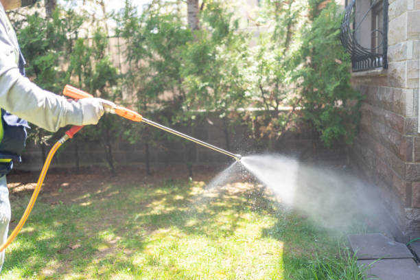 Best Pest Prevention Services  in Moravian Falls, NC