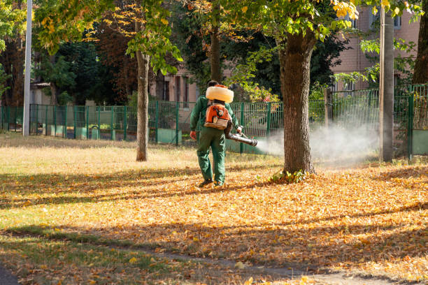 Pest Control for Restaurants in Moravian Falls, NC