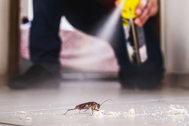 Flea Control Services in Moravian Falls, NC