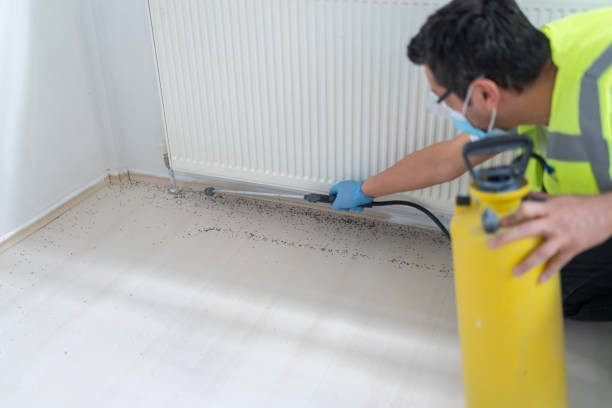 Best Best Pest Control Companies  in Moravian Falls, NC